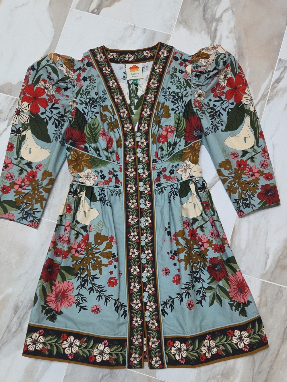 FARM Rio Sky Blue Floral V-Neck Dress with Red & Pink Blooms